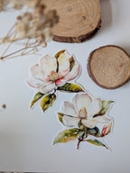 Watercolor Magnolia Sticker: Floral Spring Decal, Planner Stickers