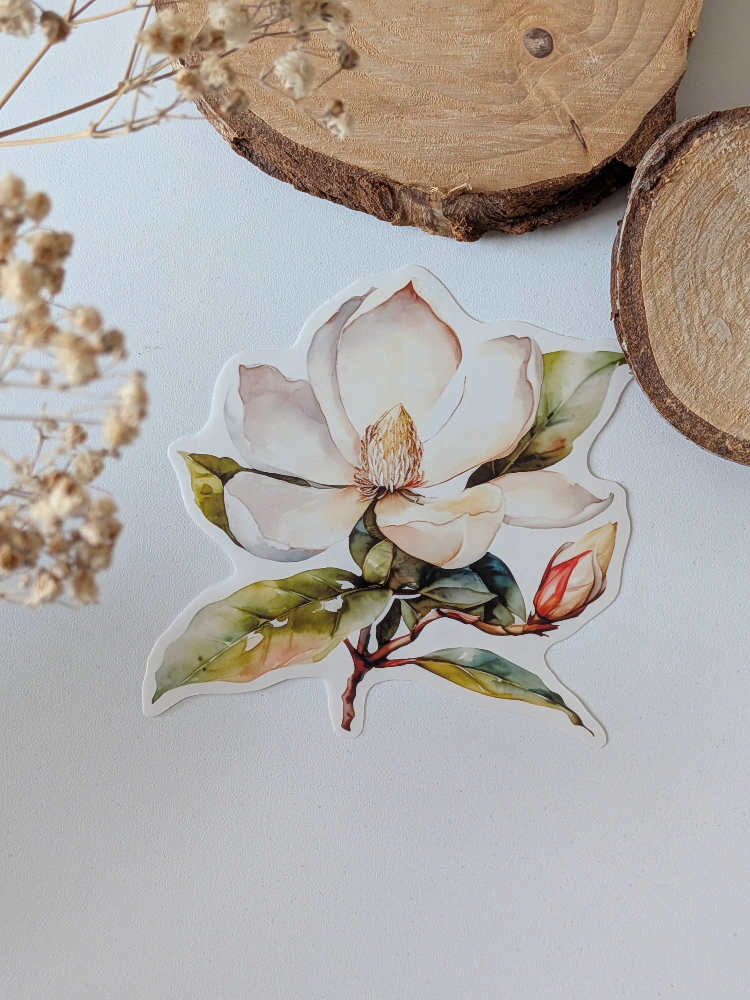Watercolor Magnolia Sticker: Floral Spring Decal, Planner Stickers