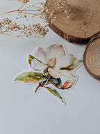 Watercolor Magnolia Sticker: Floral Spring Decal, Planner Stickers