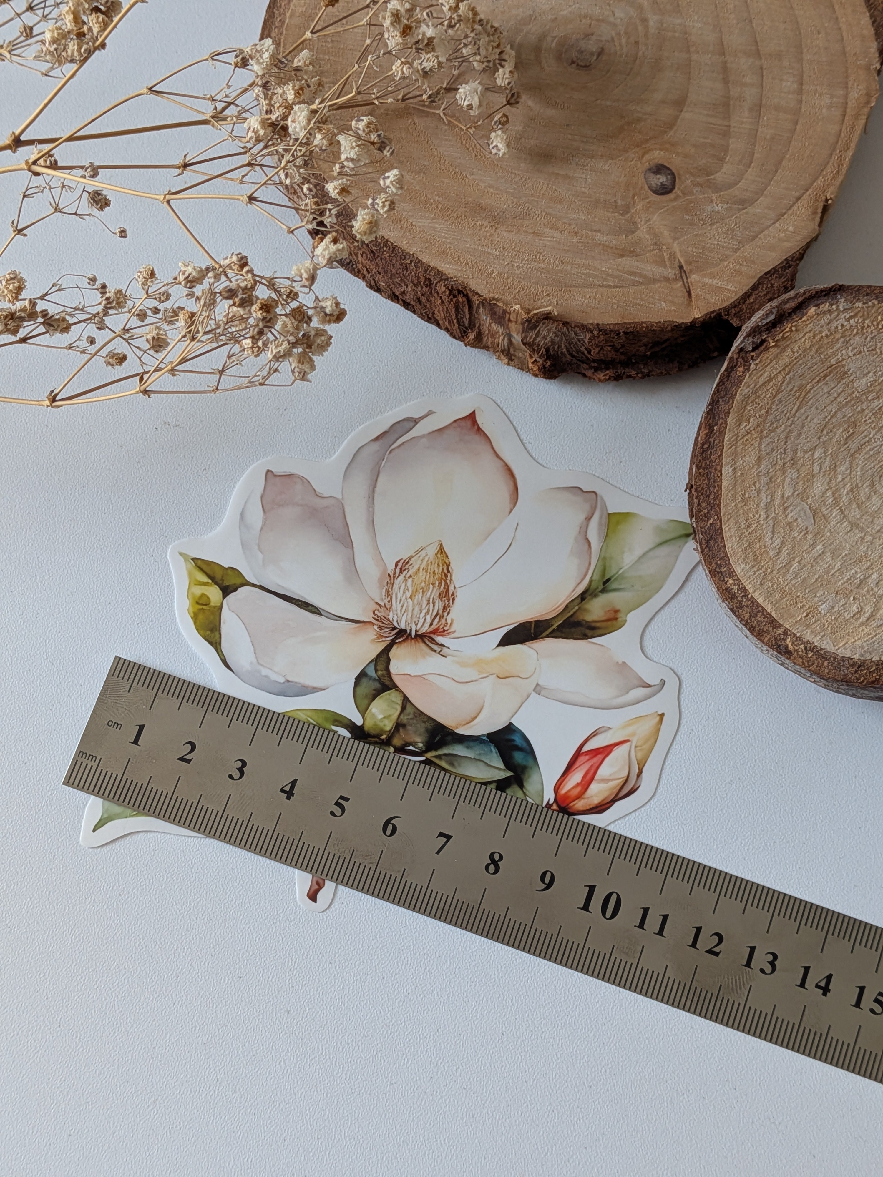Watercolor Magnolia Sticker: Floral Spring Decal, Planner Stickers