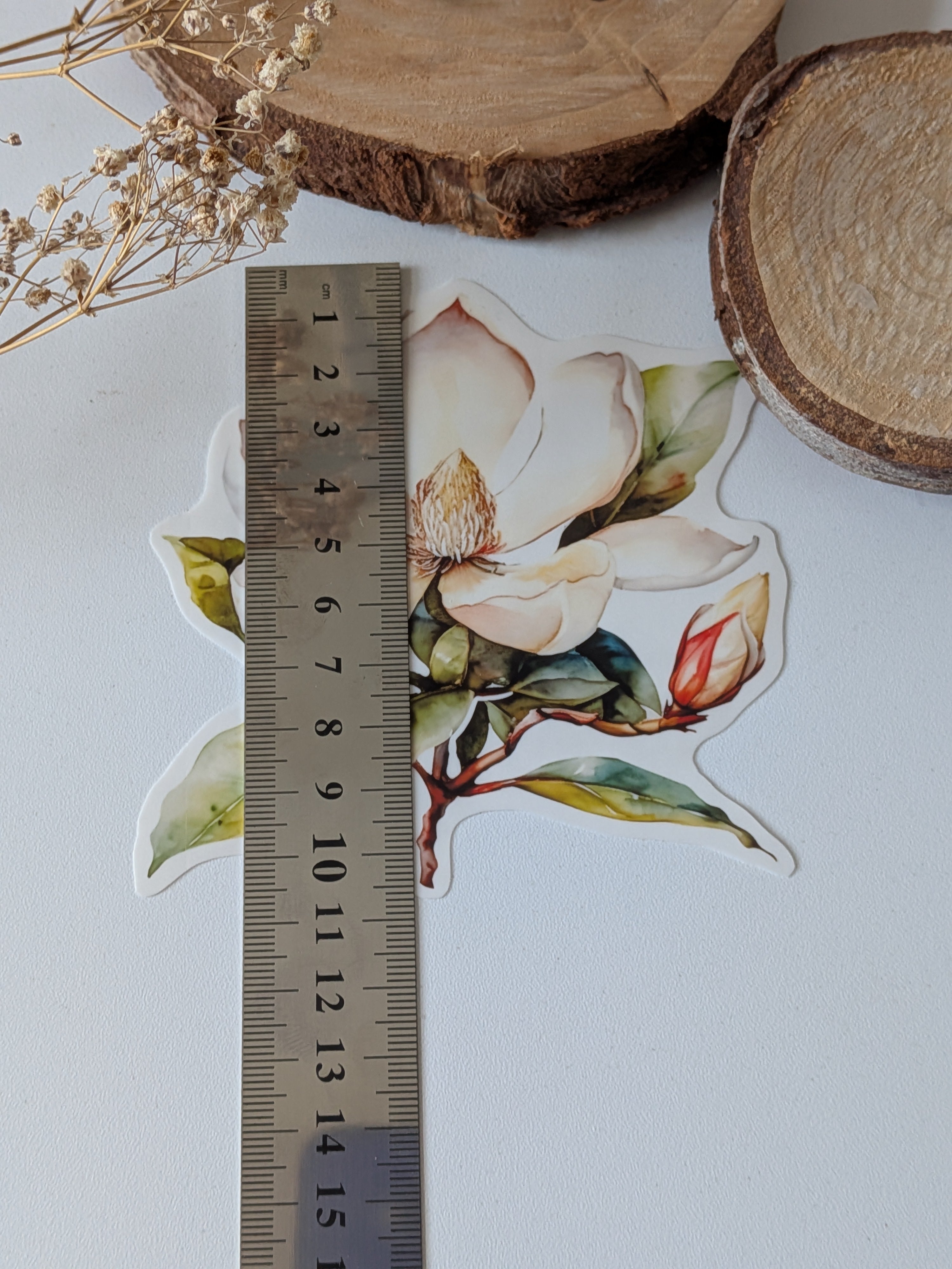Watercolor Magnolia Sticker: Floral Spring Decal, Planner Stickers