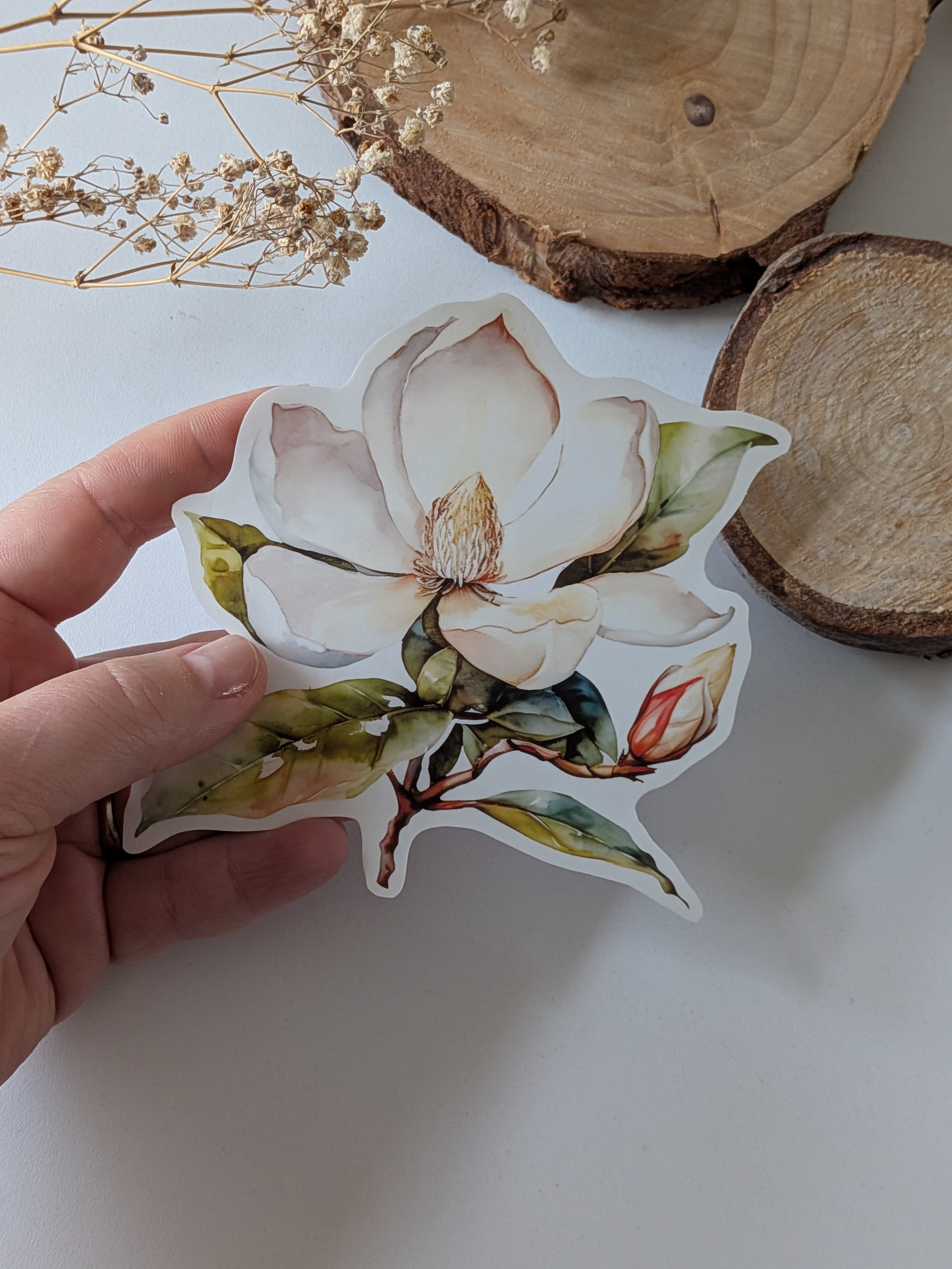 Watercolor Magnolia Sticker: Floral Spring Decal, Planner Stickers
