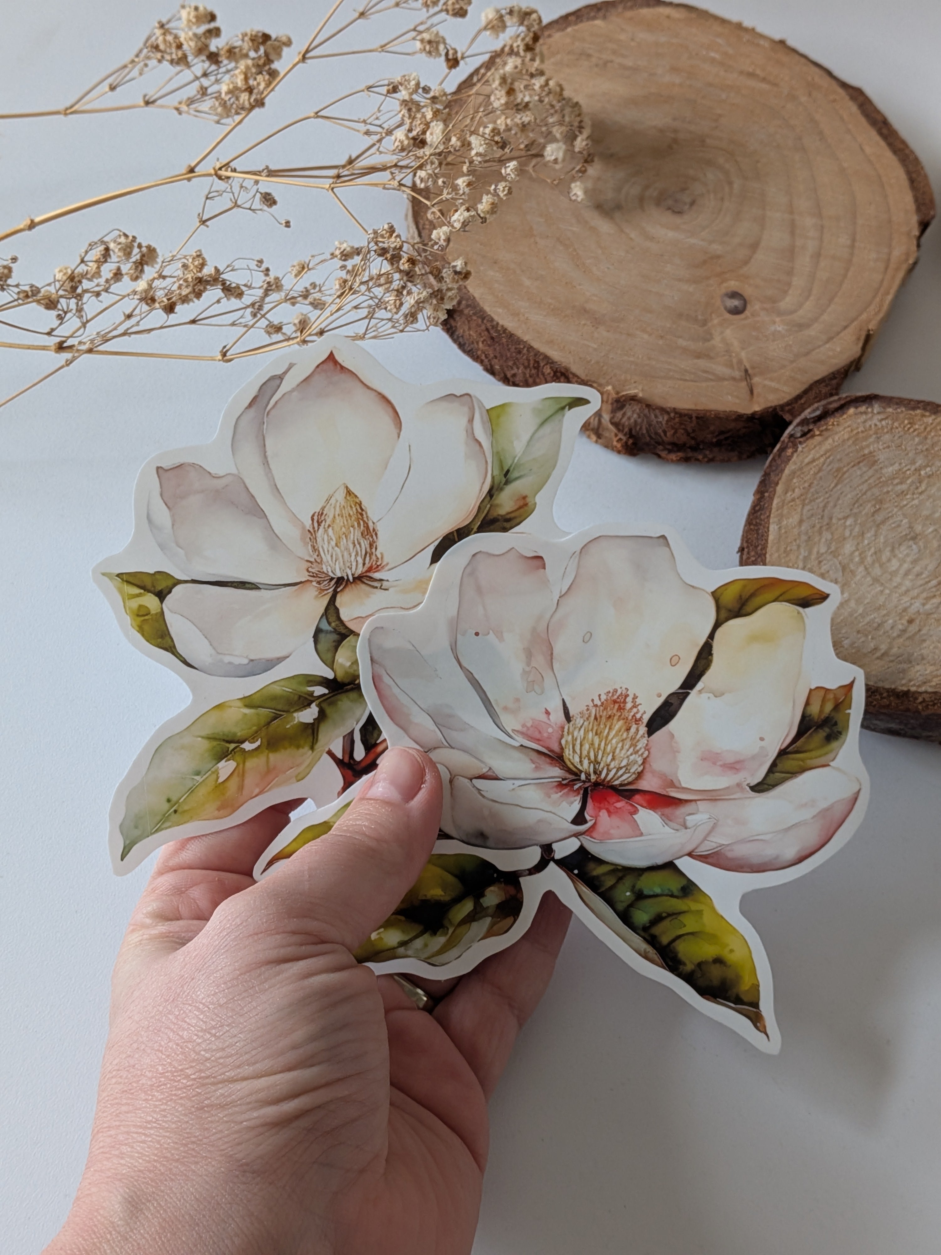 Watercolor Magnolia Sticker: Floral Spring Decal, Planner Stickers