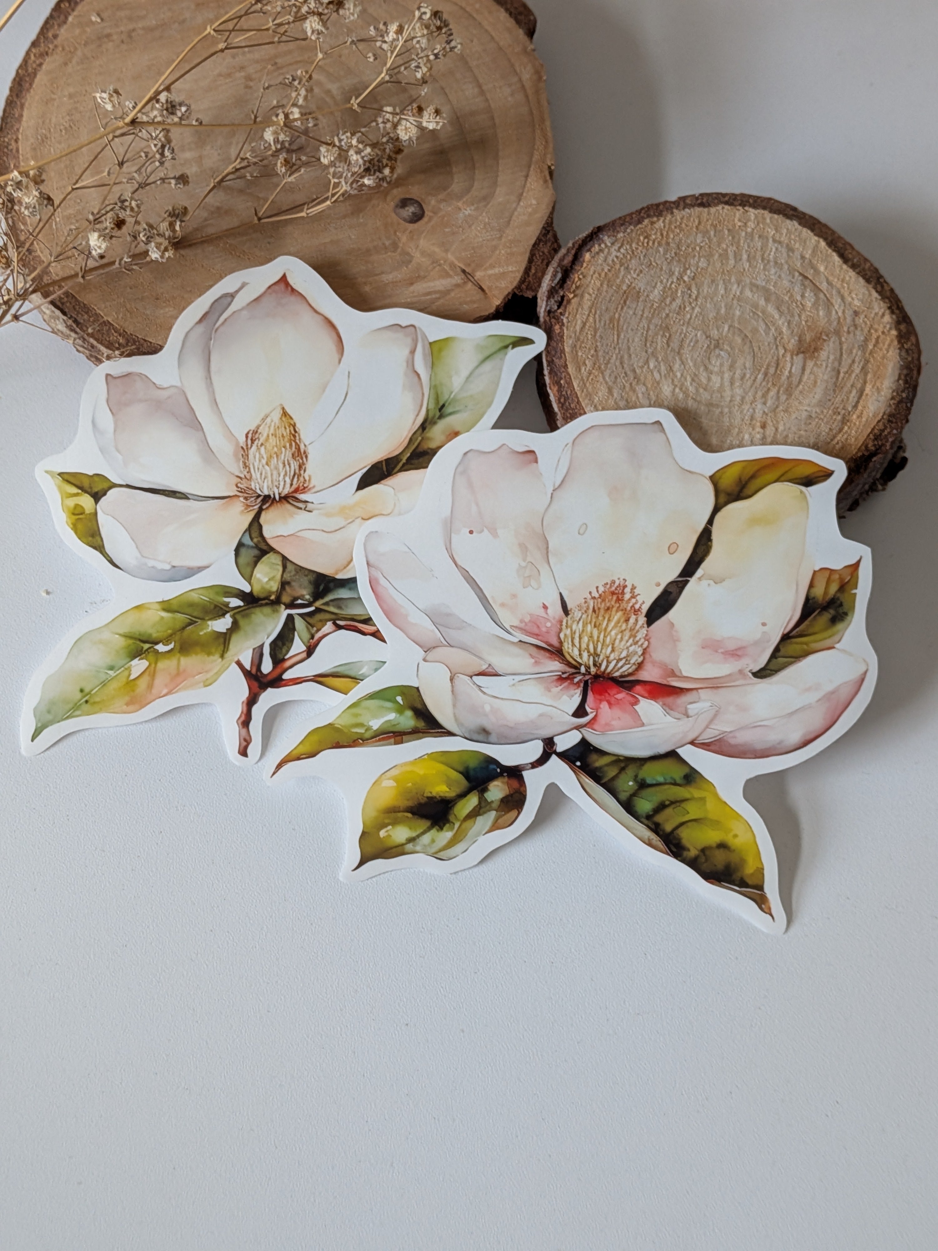 Watercolor Magnolia Sticker: Floral Spring Decal, Planner Stickers