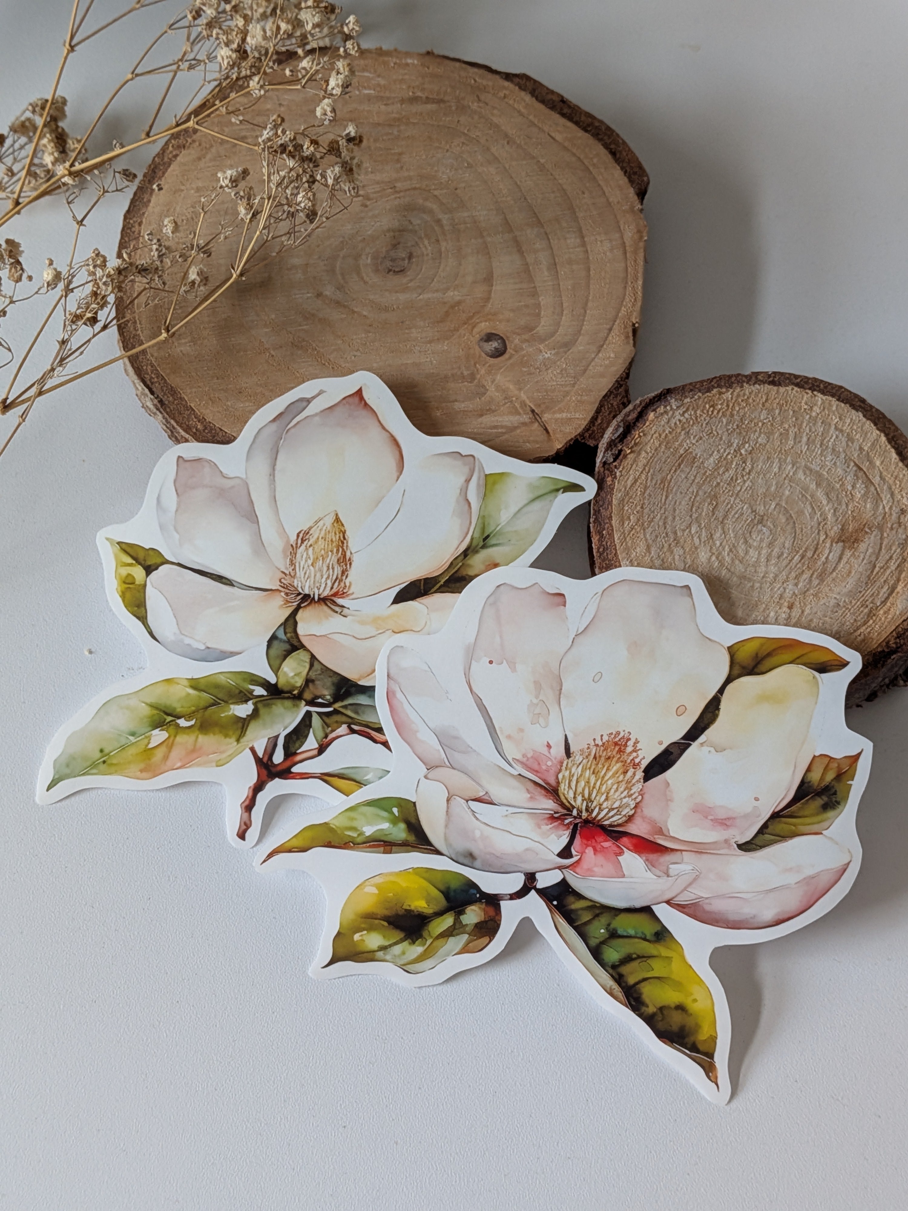 Watercolor Magnolia Sticker: Floral Spring Decal, Planner Stickers