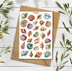 Seashell Stickers