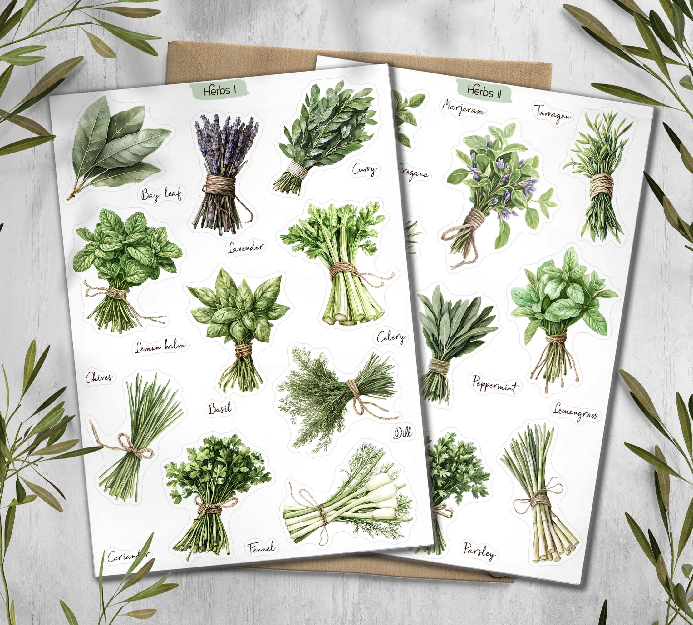 Herbs Stickers. Cottagecore Scrapbook Planner Stickers. Kitchen spices stickers. Greenery stickers