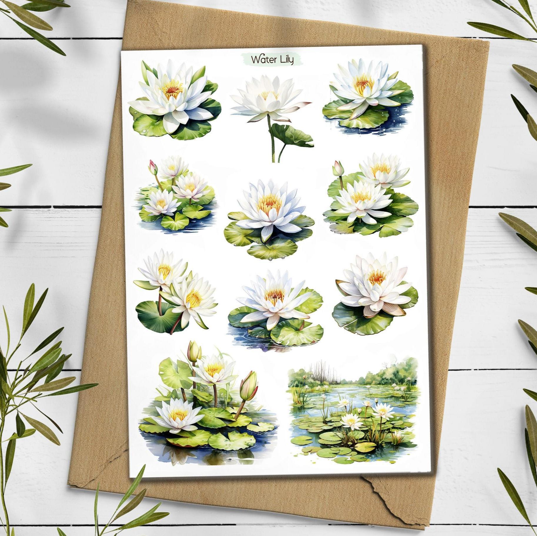 Water Lily Stickers: Lotus Flower, Planner Stickers