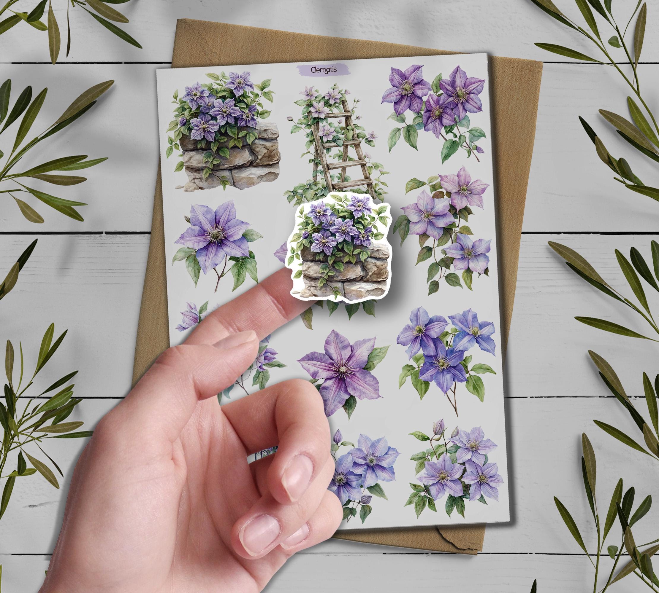Clematis Stickers. Clematis Flowers Sticker. Wildflowers Sticker Pack. June Summer Stickers. Clematis Flowers. Bullet Journal, Scrapbooking