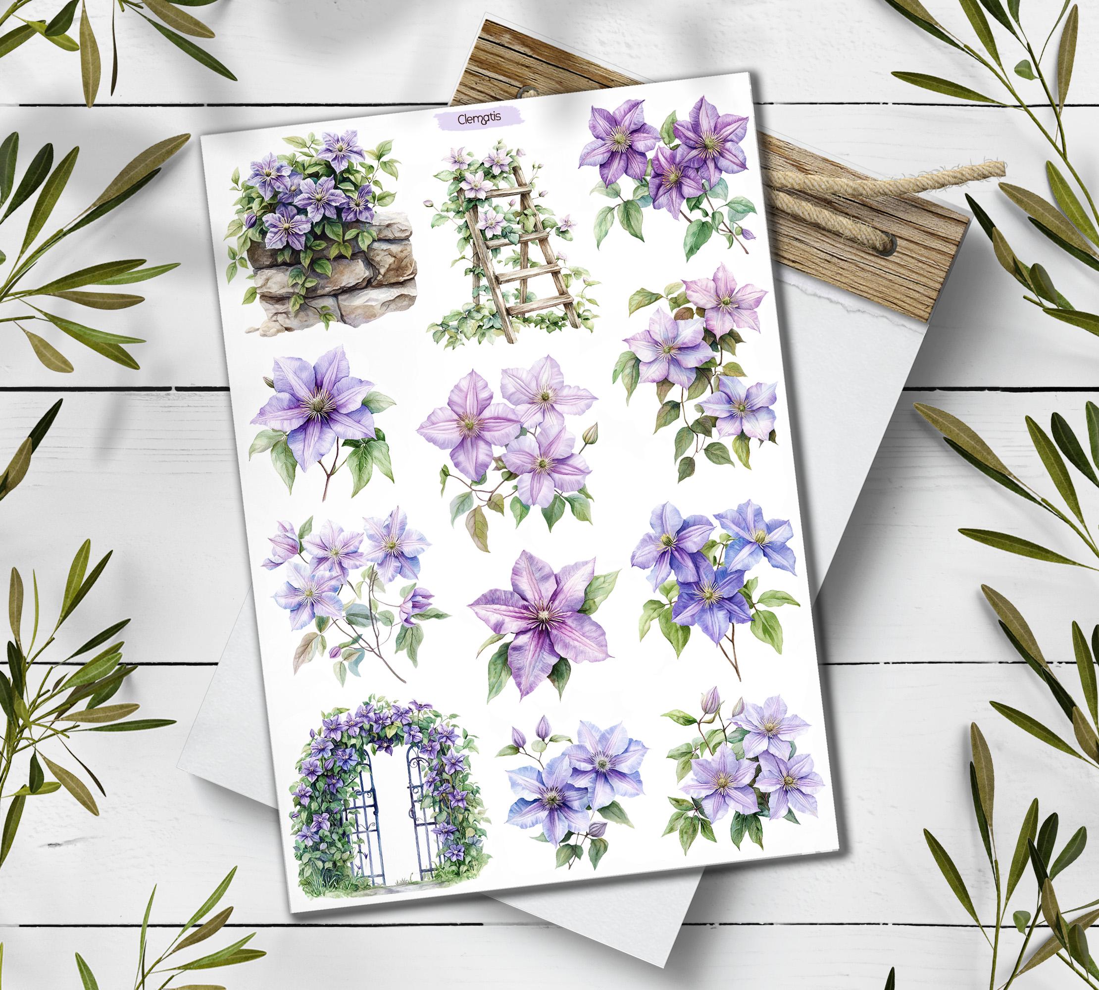 Clematis Stickers. Clematis Flowers Sticker. Wildflowers Sticker Pack. June Summer Stickers. Clematis Flowers. Bullet Journal, Scrapbooking