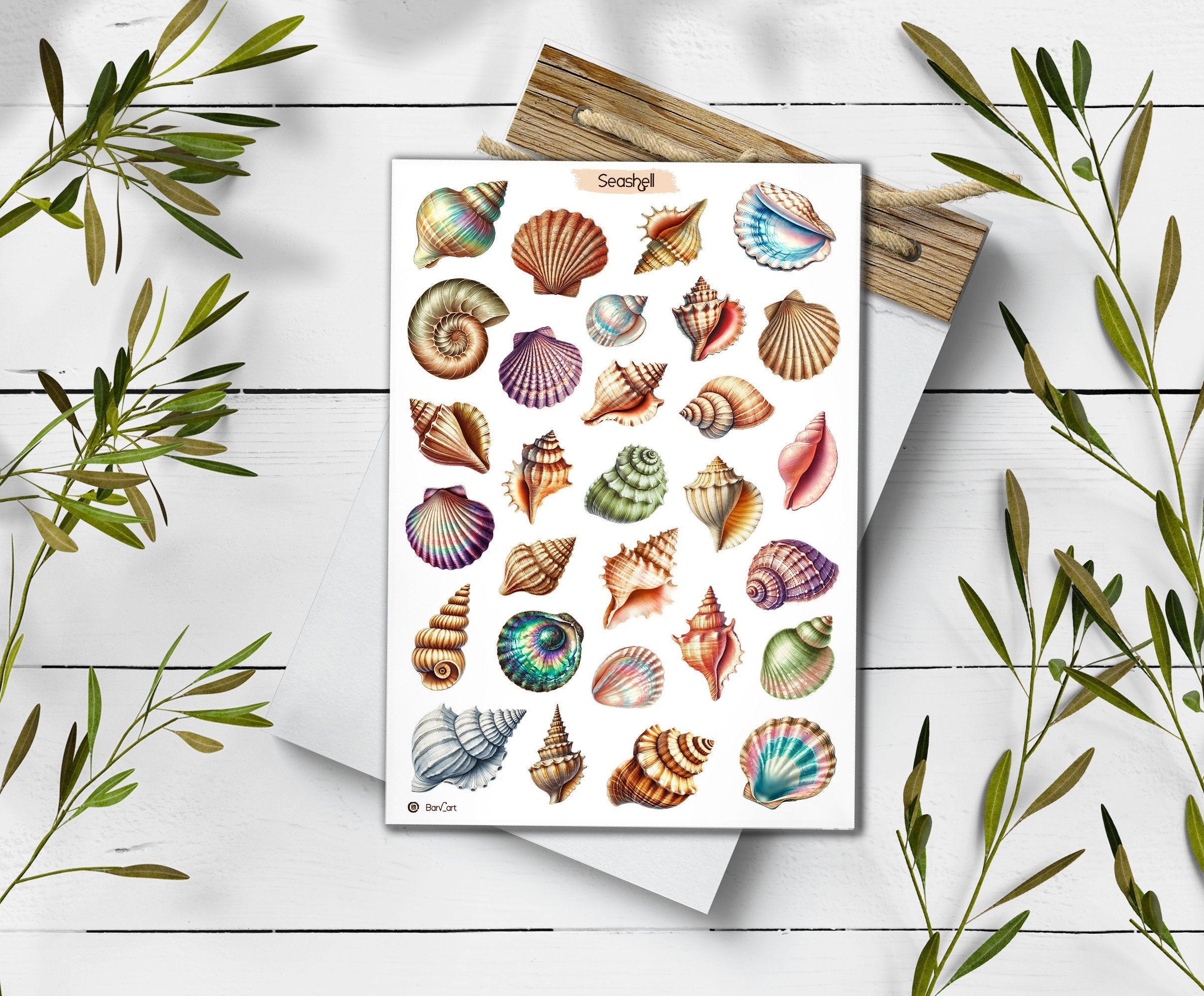 Seashell Sticker Sheet