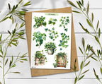 Ivy  Garden Stickers