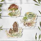 Forest Mushroom Stickers