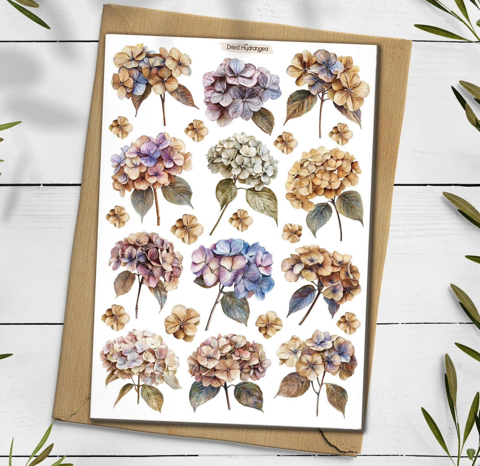 Hydrangea Stickers: Dried Flower Scrapbooking, Planner Decals