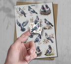 Pigeon Stickers