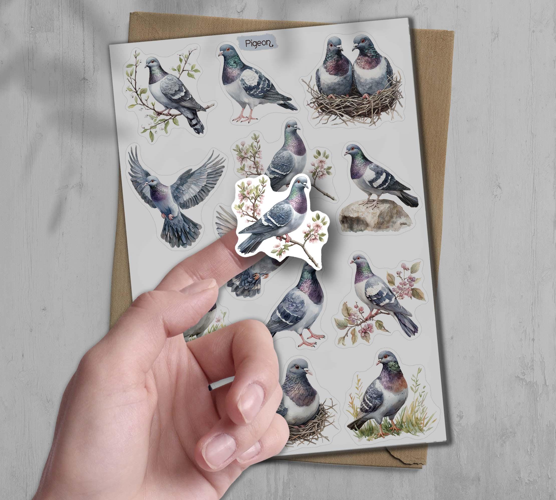 Pigeon Stickers