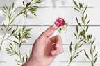 English Rose Stickers: Floral Planner Stickers (6x4 inches)