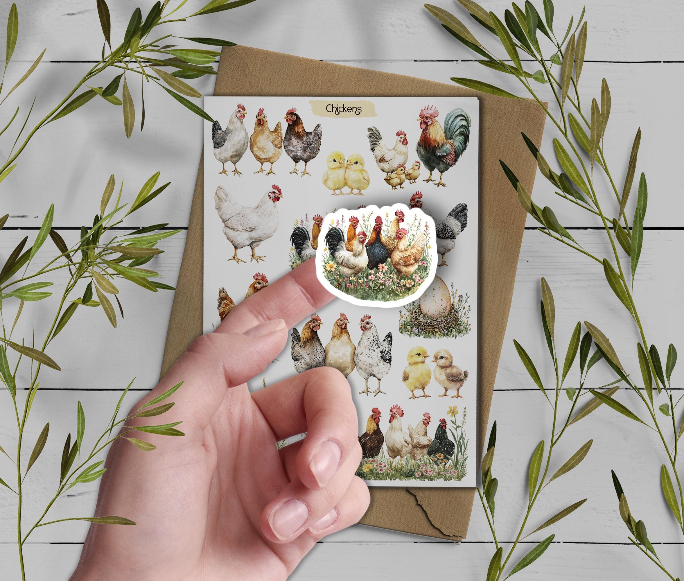 Farm Chicken Stickers