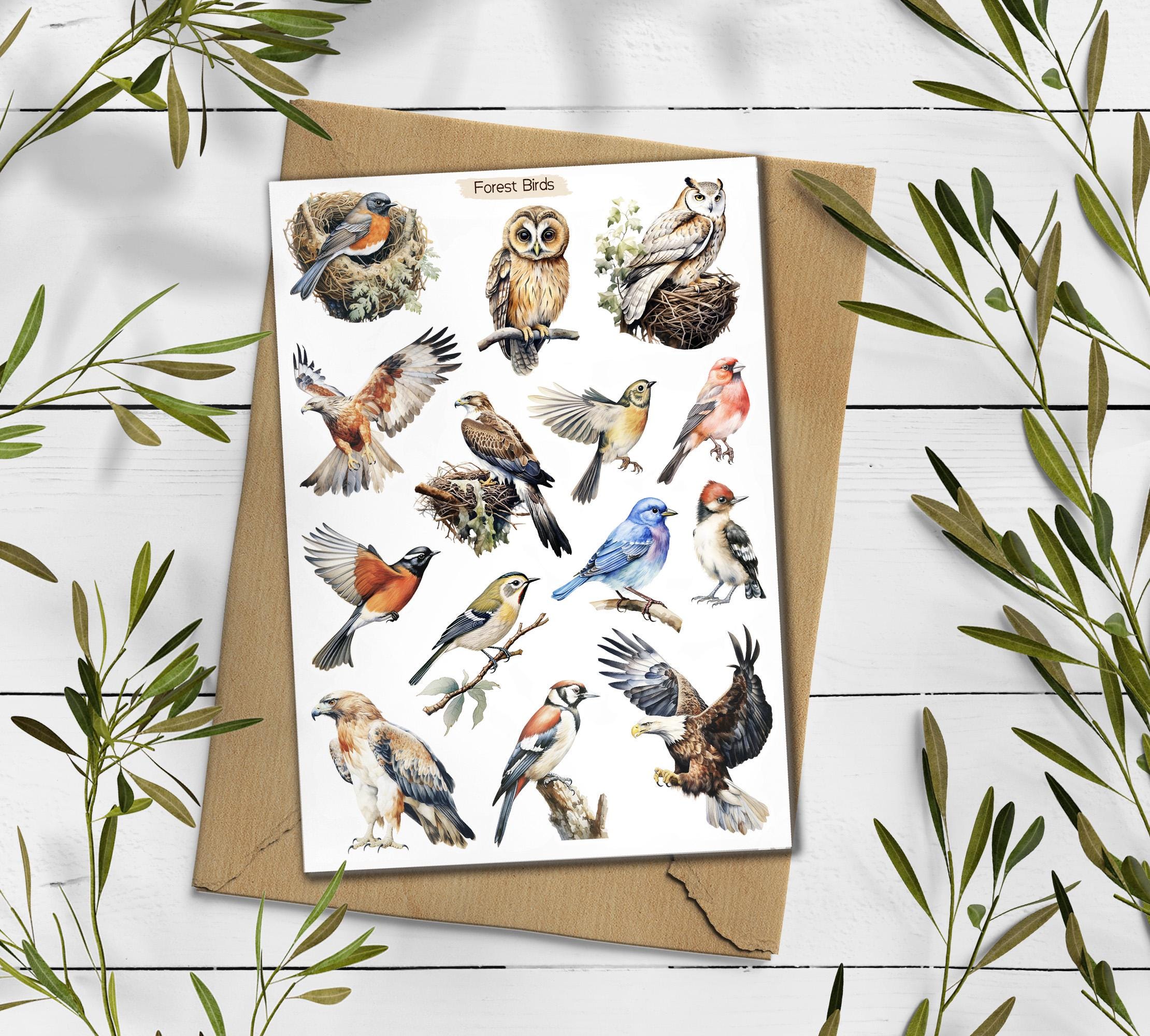 Forest Birds Stickers. Birds Sticker Pack. Wild Birds Stickers. Garden Birds Bullet Journal. Woodland Sticker Sheet. Scrapbooking