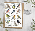 British Garden Birds Stickers