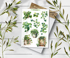 Ivy  Garden Stickers