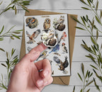 Forest Birds Stickers. Birds Sticker Pack. Wild Birds Stickers. Garden Birds Bullet Journal. Woodland Sticker Sheet. Scrapbooking
