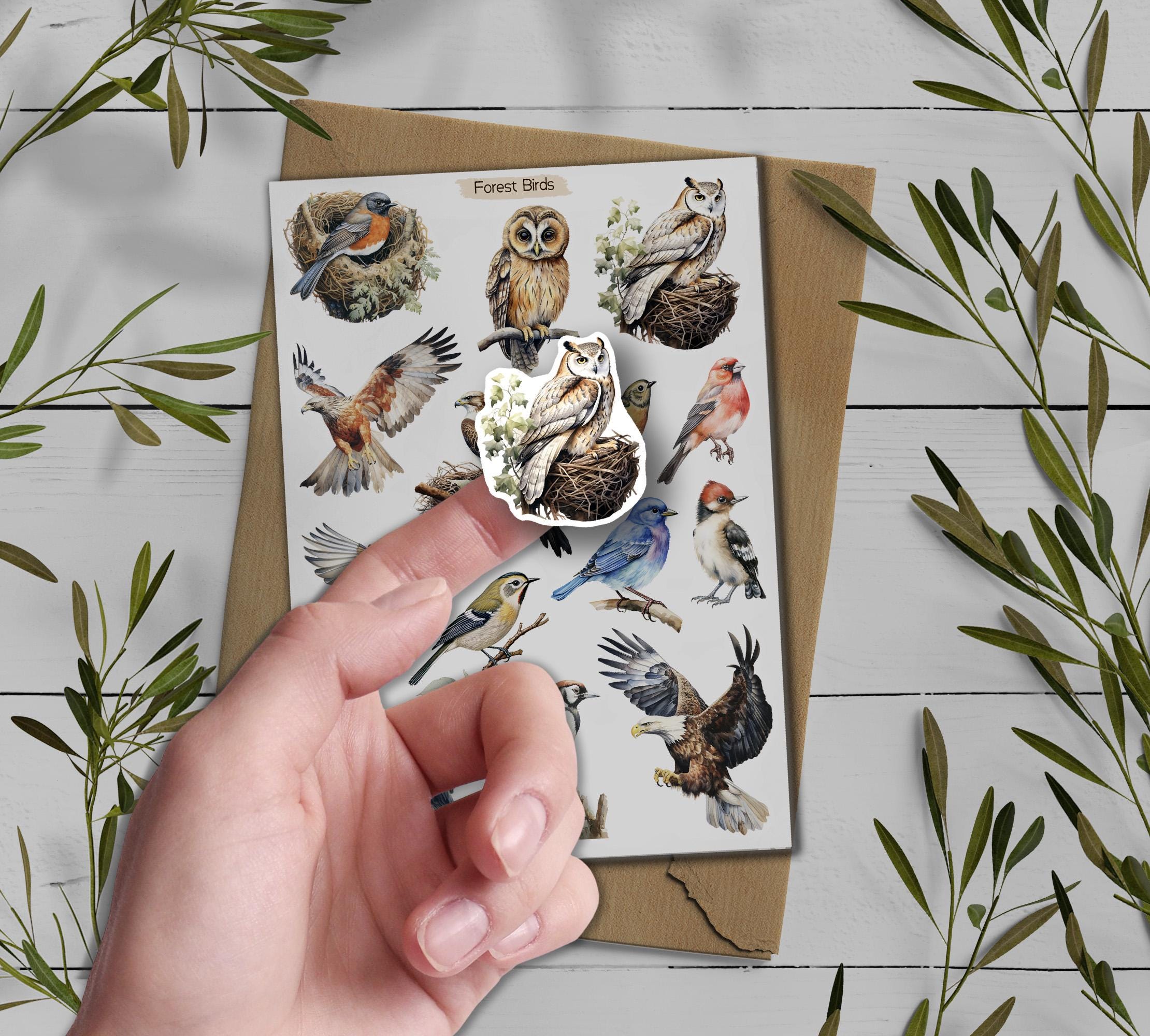 Forest Birds Stickers. Birds Sticker Pack. Wild Birds Stickers. Garden Birds Bullet Journal. Woodland Sticker Sheet. Scrapbooking