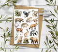 Forest Animals Stickers