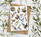 Forest Birds Stickers. Birds Sticker Pack. Wild Birds Stickers. Garden Birds Bullet Journal. Woodland Sticker Sheet. Scrapbooking