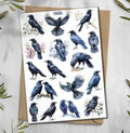 Raven Stickers