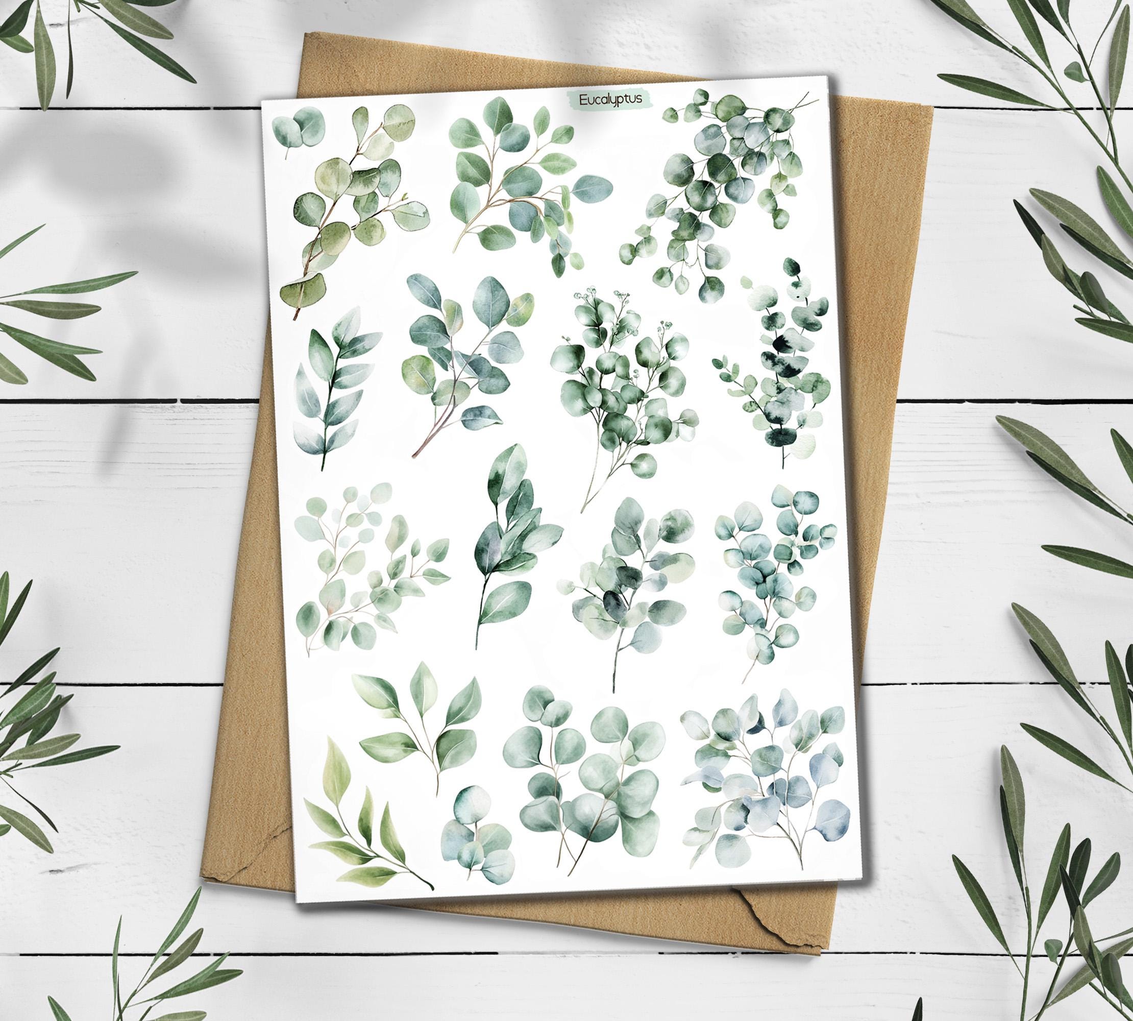 Eucalyptus & Wildflower Stickers: Greenery Scrapbooking, Planner Stickers