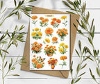 Marigold Stickers. Marigold Flowers Sticker. Wildflowers Sticker Pack. Autumn sticker. Transparent Marigold Sticker. Bullet Journal
