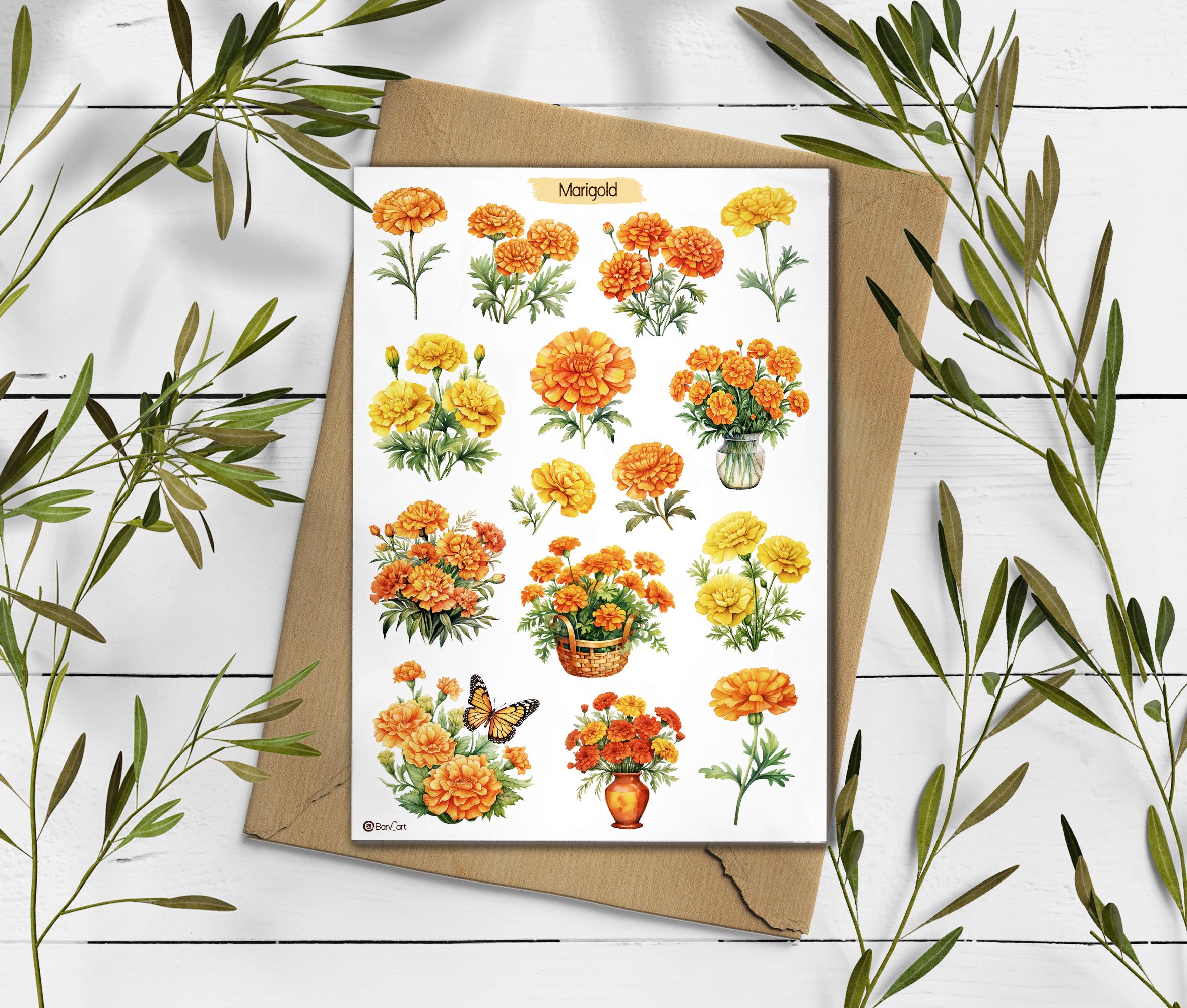 Marigold Stickers. Marigold Flowers Sticker. Wildflowers Sticker Pack. Autumn sticker. Transparent Marigold Sticker. Bullet Journal