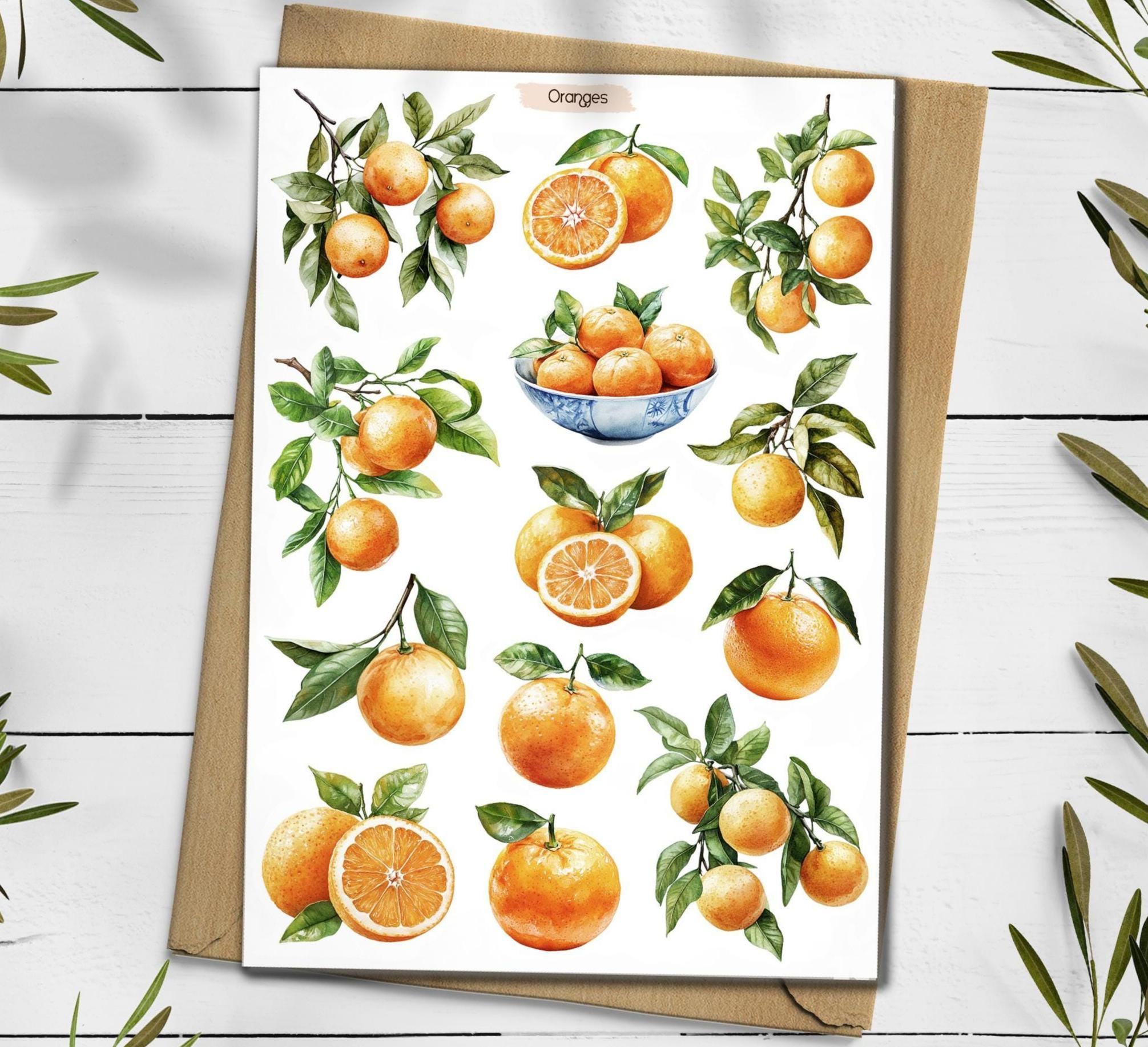 Orange Cottagecore Stickers: Citrus Planner, Scrapbook Stickers
