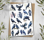 Raven Stickers