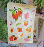 Peach Stickers. Peach Sticker Pack. Peach tree Stickers. Bullet Journal. Peach Sticker Sheet. Fruit Stickers. Summer Stickers