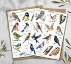 British Garden Birds Stickers