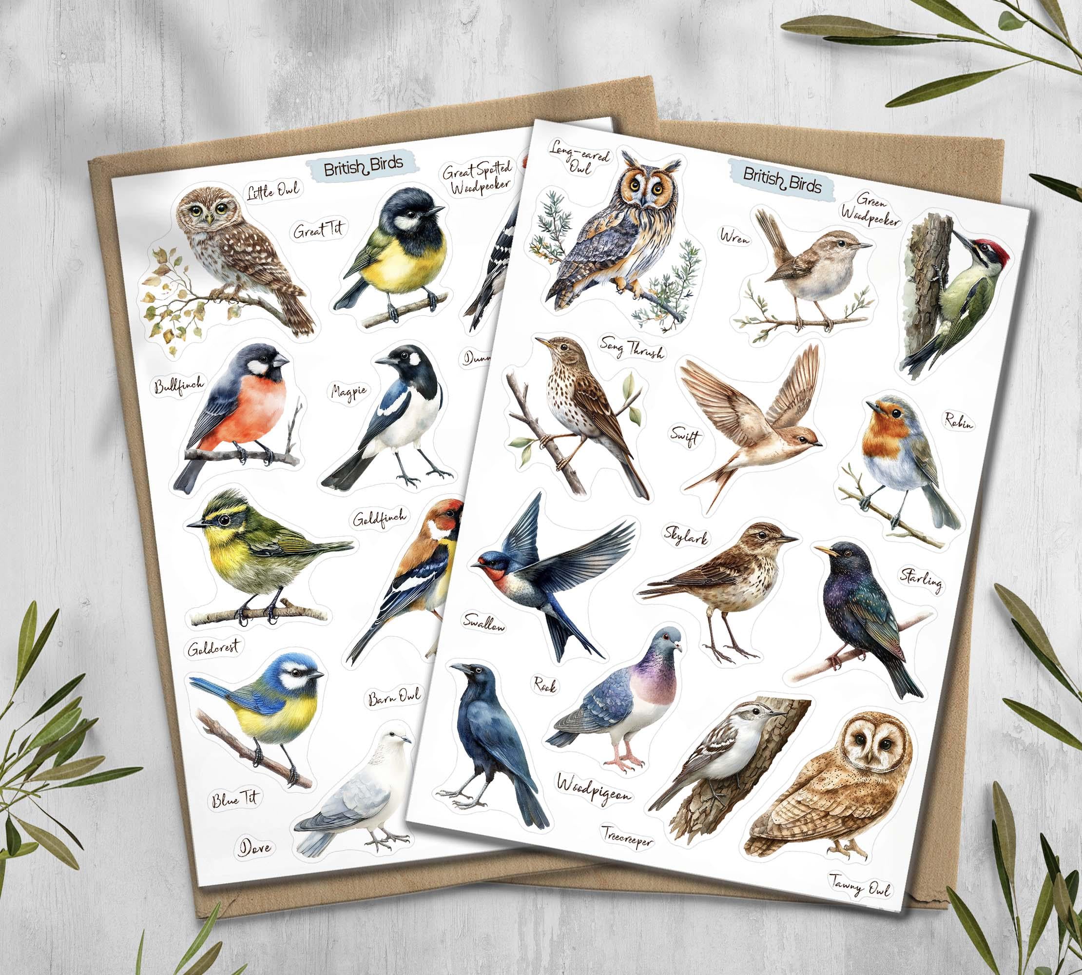 British Garden Birds Stickers