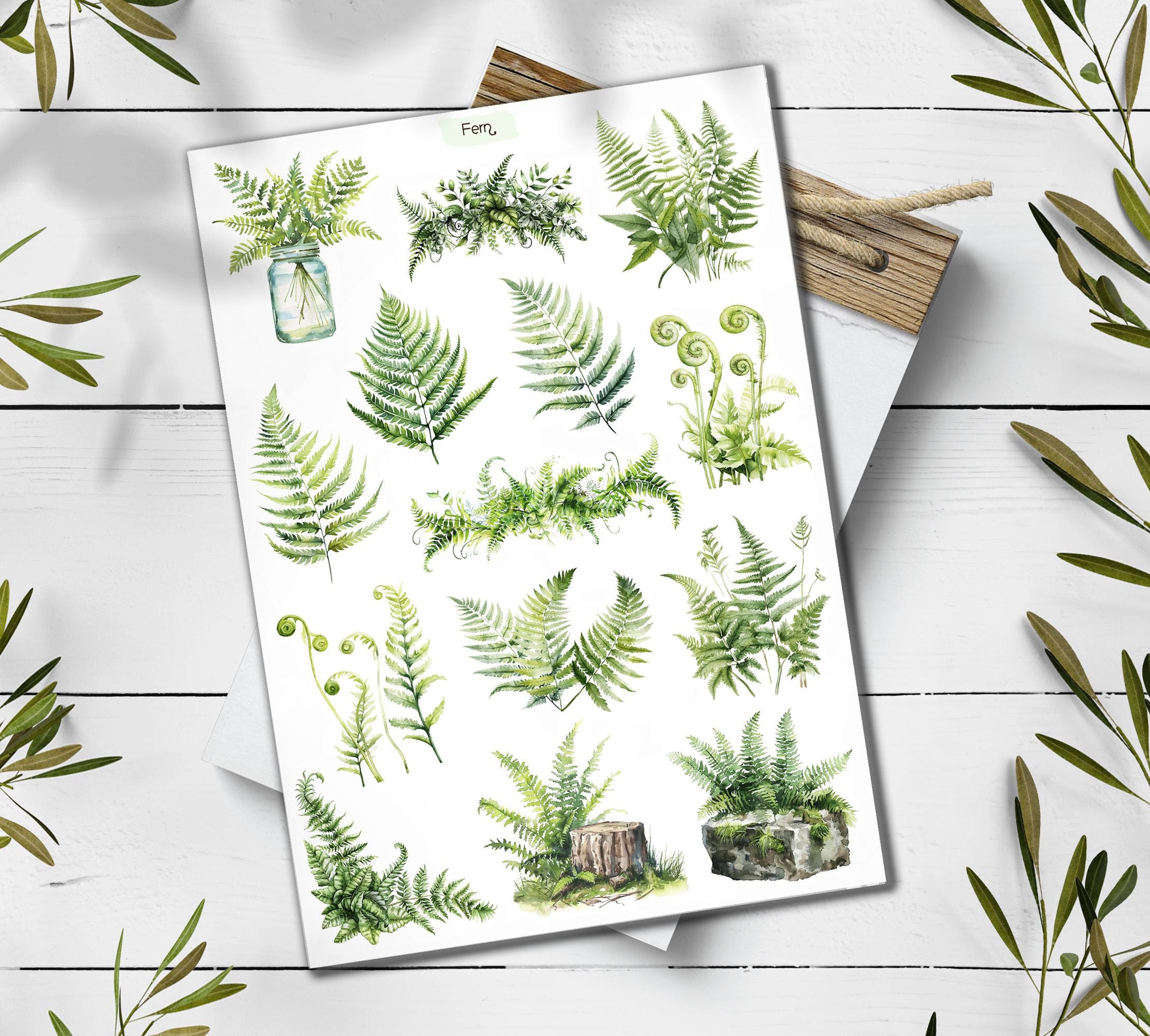 Fern Stickers: Botanical Greenery Scrapbooking Stickers