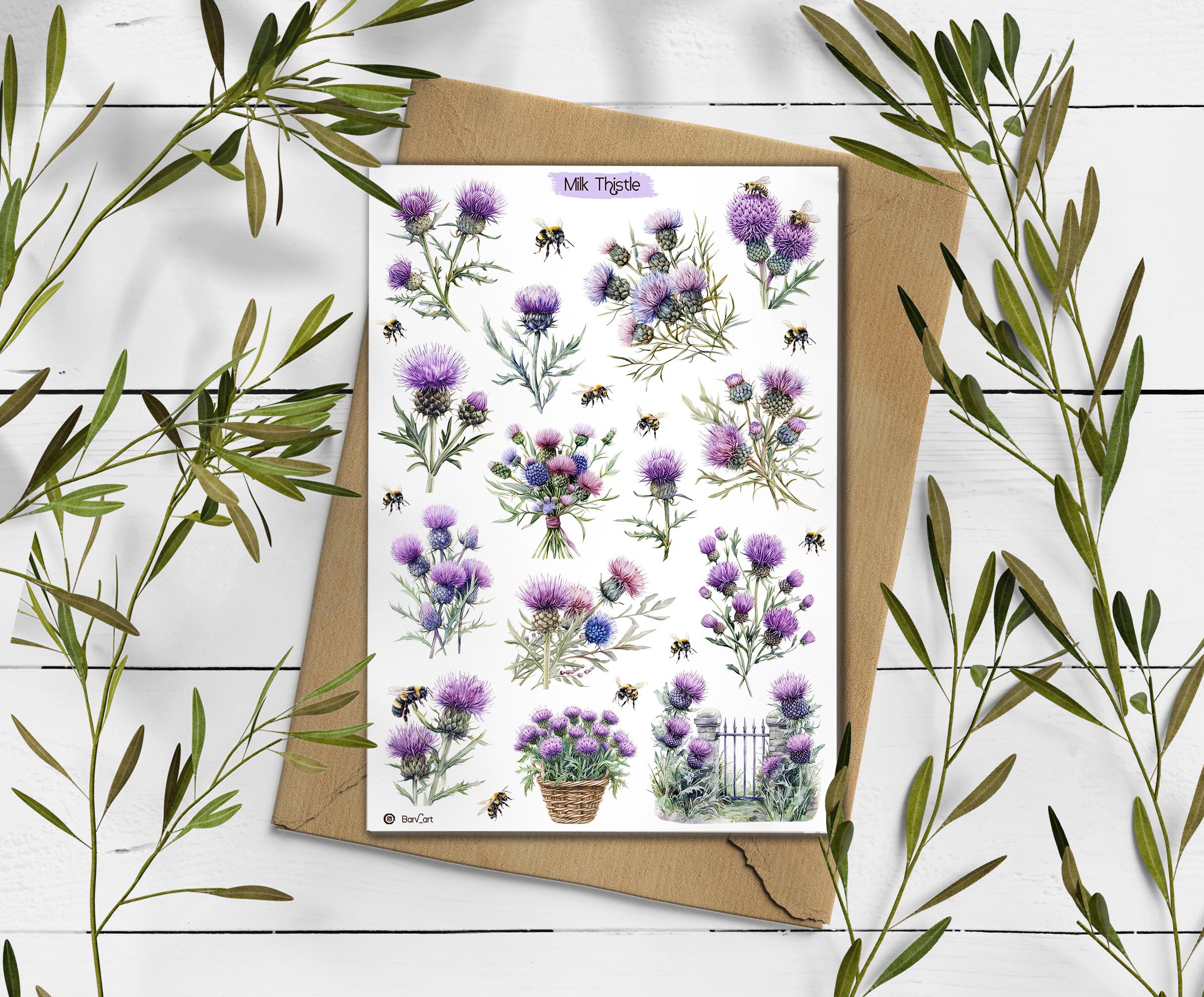 Thistle Stickers. Milk Thistle Flowers Sticker. Wildflowers Sticker Sheet. Scotland stickers. Transparent Milk Thistle Stickers