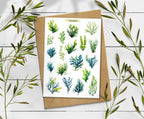 Seaweed Sticker Sheet
