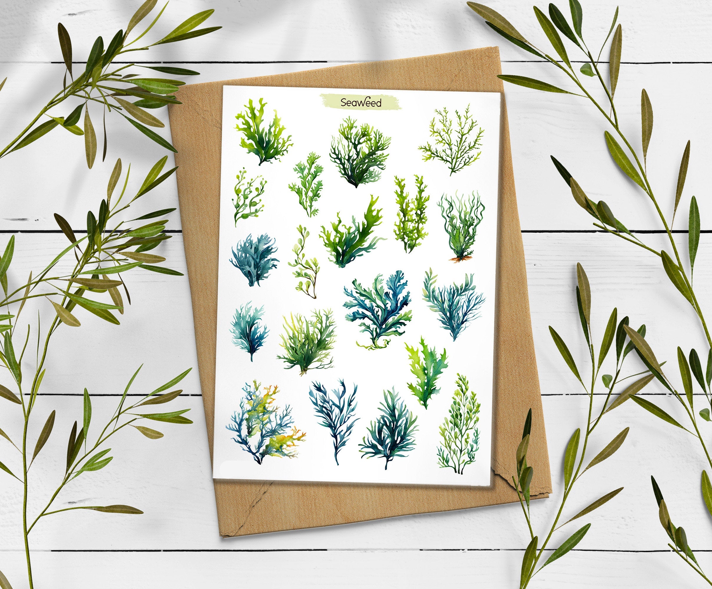 Seaweed Sticker Sheet