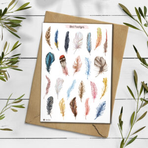 Bird Feathers Stickers. Feather stickers. Birds Planner Sticker Sheet