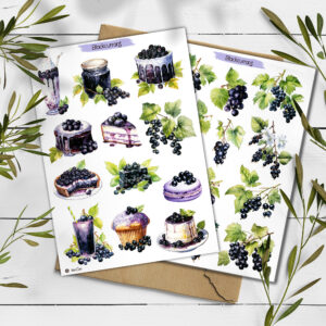 Blackcurrant Stickers. Foraged Berries Summer Sticker