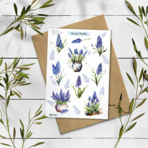 Muscari Stickers. Muscari Floral Stickers. Spring Blossom Stickers.